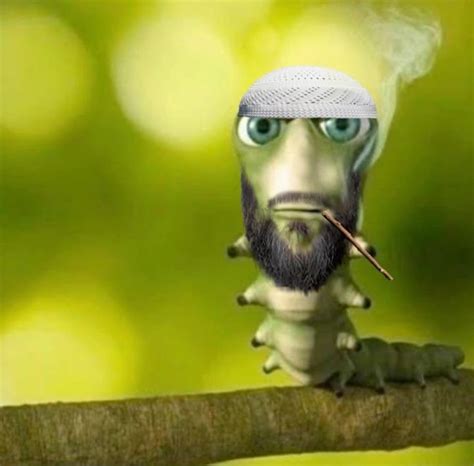 Tilibanese worm doet ook dikke baap