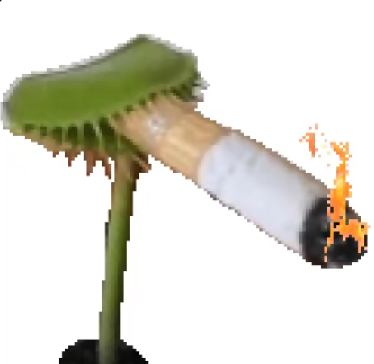 plant doet dikke baap
